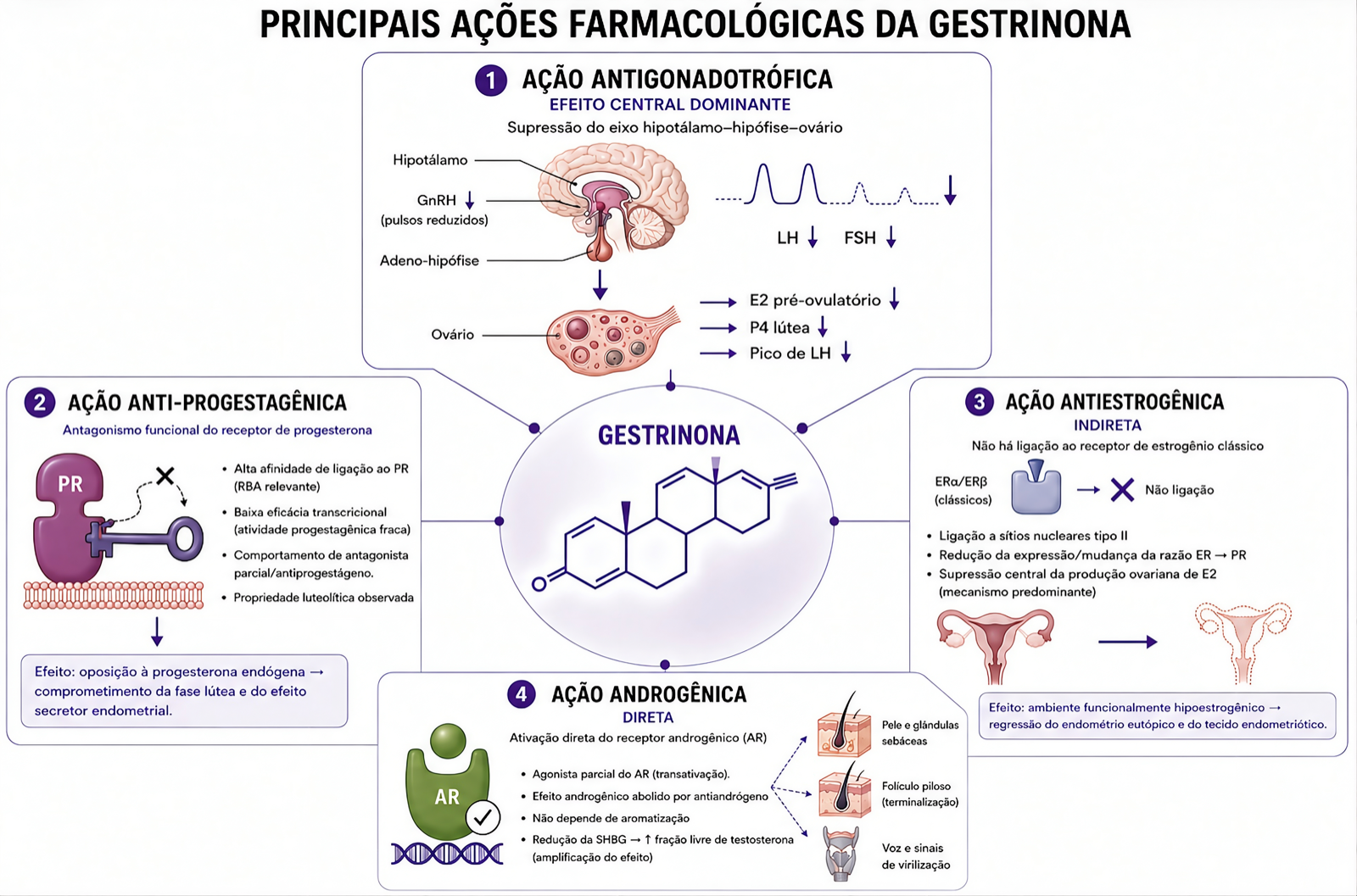 Infográfico das quatro ações farmacológicas da gestrinona — antigonadotrófica (central), antiprogestagênica, antiestrogênica e androgênica — dispostas ao redor da molécula, com os mecanismos de cada uma