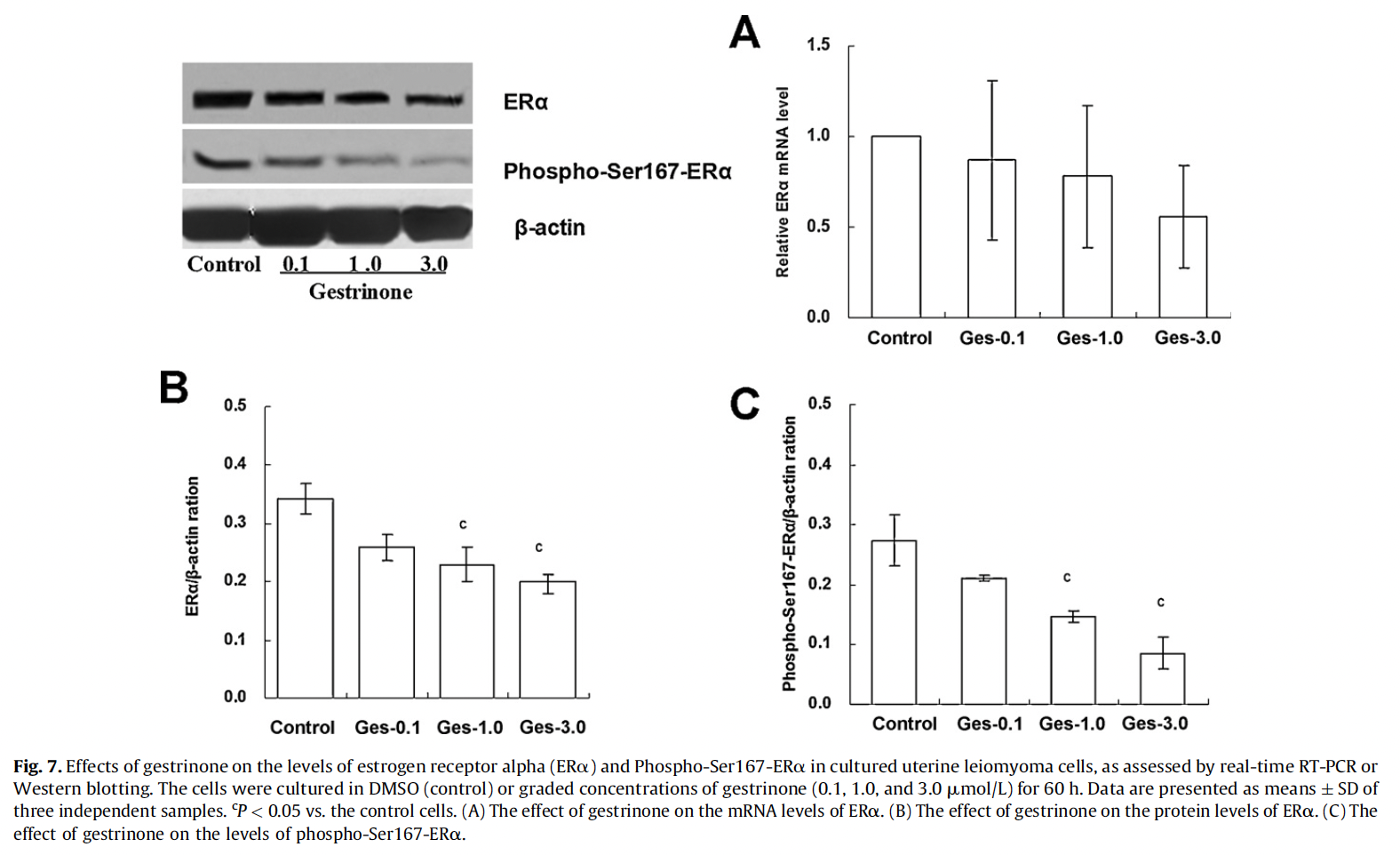 ERα e phospho-Ser167-ERα em células de leiomioma uterino tratadas com gestrinona: Western blot e gráficos concentração-dependentes